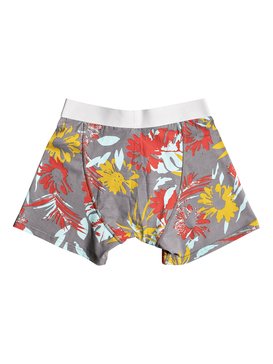 Boxer Poster - Boxer Briefs  EQYLW03031