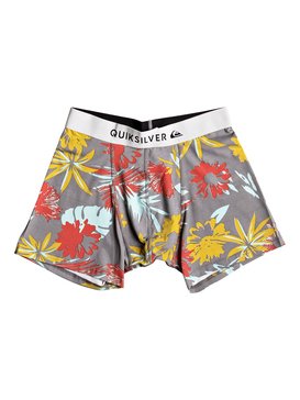Boxer Poster - Boxer Briefs  EQYLW03031