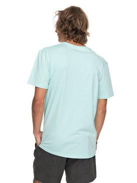 quiksilver, Футболка Classic Nano Spano, EGGSHELL BLUE (bfd0) Classic Nano Spano - T-Shirt EQYZT04775