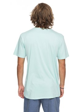 quiksilver, Classic Fin Fanatic - T Shirt col rond pour Homme, EGGSHELL BLUE (bfd0) Classic Fin Fanatic - T-Shirt for Men EQYZT04896