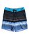 Highline Swell Vision 15" - Board Shorts  EQBBS03238
