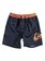 Lava Logo 15" - Swim Shorts  EQBJV03137