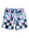 Resin Check 15" - Swim Shorts  EQBJV03139