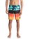 Blocked Resin Camo 18" - Board Shorts  EQYBS03741
