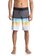 Highline Slab 20" - Board Shorts  EQYBS03858