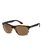 Shoreline - Sunglasses  EQYEY03013
