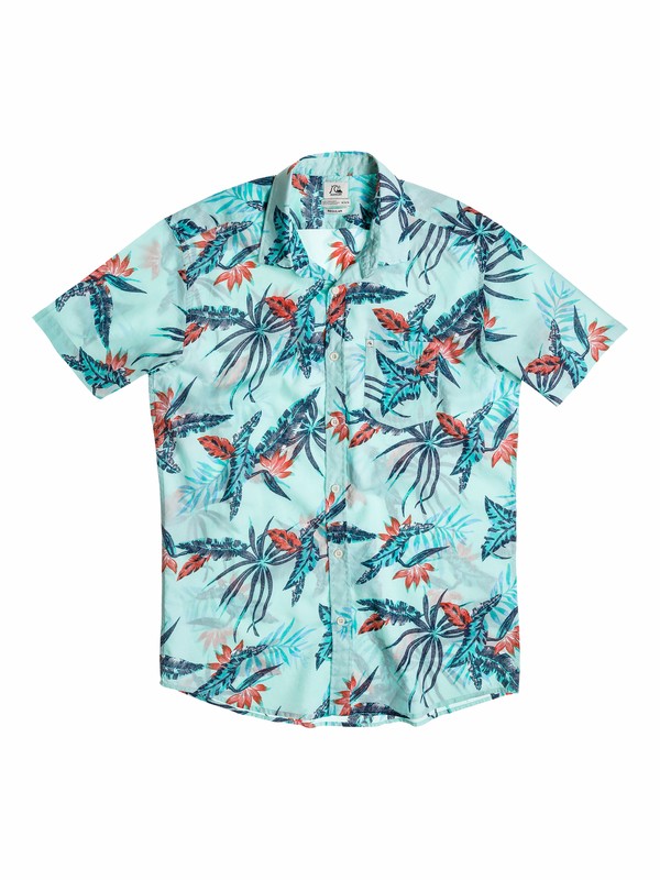 quiksilver, Boys 4-7 Everyday Print Short Sleeve Shirt, Sage Gray - Solid (bfr0) 0 Boys 4-7 Everyday Print Short Sleeve Shirt 40554050 Quiksilver