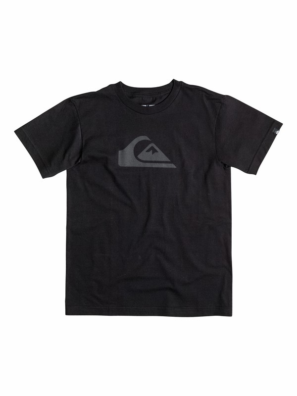 Boys 8-16 Everyday Logo Core T-Shirt 40564019 0 Boys 8-16 Everyday Logo Core T-Shirt 40564019 Quiksilver