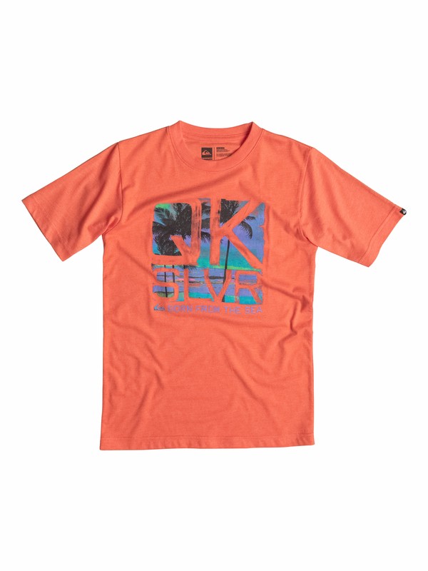 quiksilver, Baby Malibu T-Shirt, Mandarin Red-h (nmsh) 0 Baby Malibu T-Shirt 40574093 Quiksilver