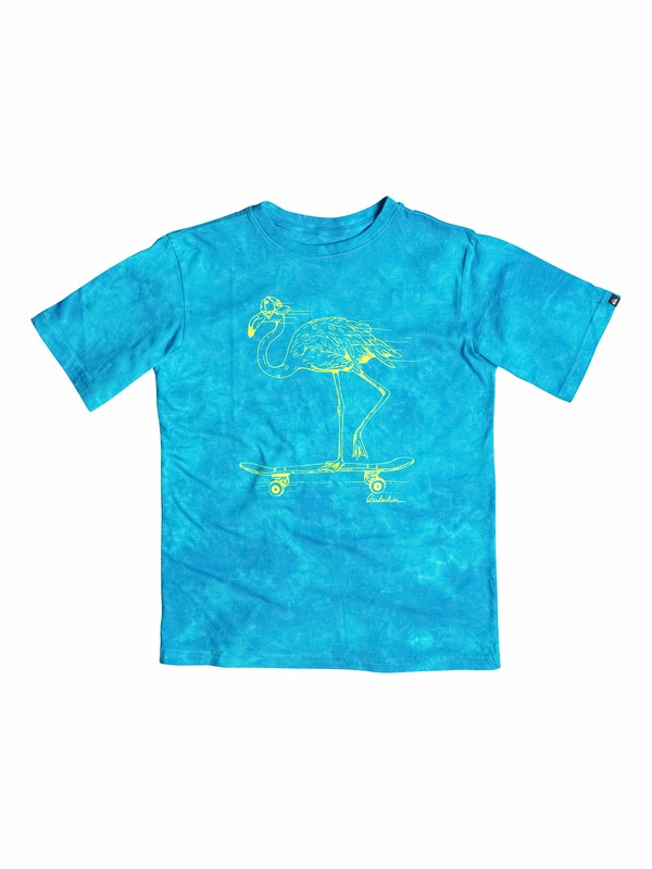 quiksilver, Baby Rad Flamingo T-Shirt, Hawaiian Ocean (bmj0) 0 Baby Rad Flamingo T-Shirt 40574177 Quiksilver