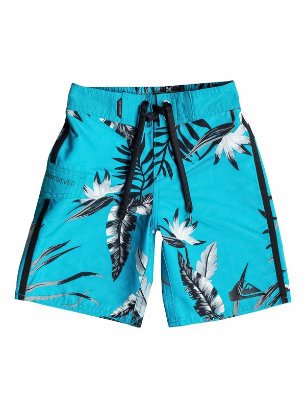 quiksilver, Baby Frames Madagascar Boardshorts, Hawaiian Ocean (bmj0) 0 Baby Frames Madagascar Boardshorts 40575008 Quiksilver