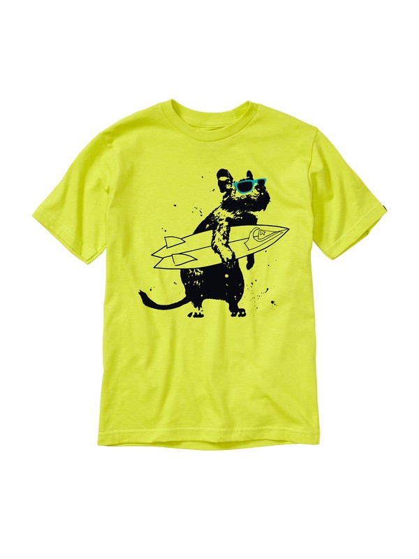 quiksilver, Boys 8-16 Chimpunk T-Shirt, CITRIC ACID (ggp0) 0 Boys 8-16 Chimpunk T-Shirt AQBZT00445 Quiksilver