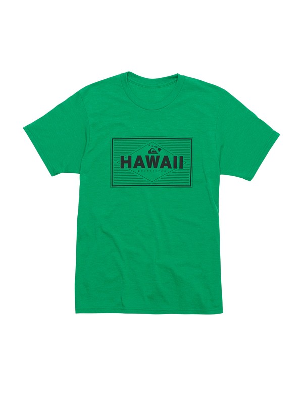 quiksilver, Boys 8-16 Gravy All Over T-Shirt, VERDE HEATHER (gpsh) 0 Boys 8-16 Gravy All Over T-Shirt AQBZT00496 Quiksilver