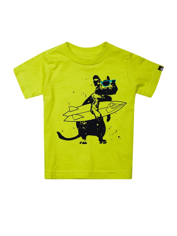 quiksilver, CHIMPUNK IT0 ZC1, CITRIC ACID (ggp0) 0 CHIMPUNK IT0 ZC1 AQIZT00105 Quiksilver