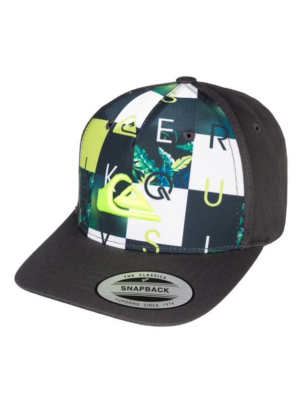 Pintails Boy AQKHA03053 0 Pintails Boy AQKHA03053 Quiksilver
