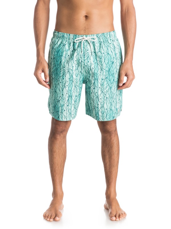 quiksilver, Waterman Ballenas 18" Volleys, AGATE GREEN (gjy0) 0 Waterman Ballenas 18" Volleys AQMJV03045 Quiksilver