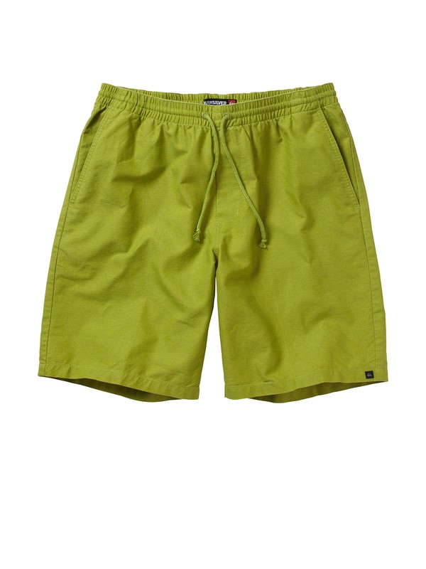 quiksilver, Elastika 19" Shorts, LEAF GREEN (lgn) 0 Elastika 19" Shorts AQYWS00006 Quiksilver