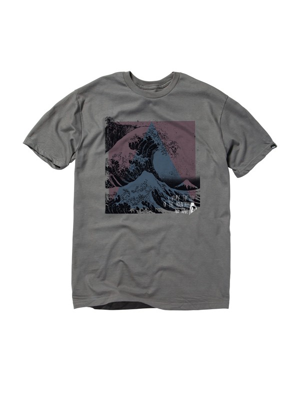 quiksilver, Radlands T-Shirt, METAL (kpc0) 0 Radlands T-Shirt AQYZT01420 Quiksilver