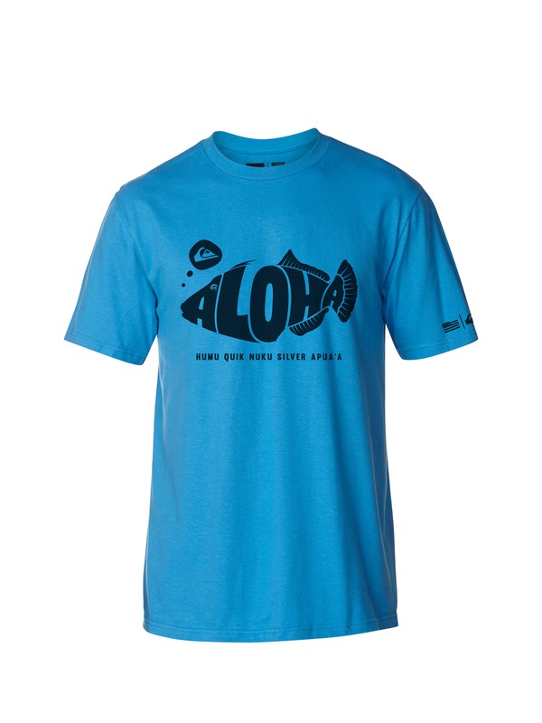 quiksilver, HUMU MT0 AM2, CASPIAN (bnb0) 0 HUMU MT0 AM2 AQYZT03169 Quiksilver