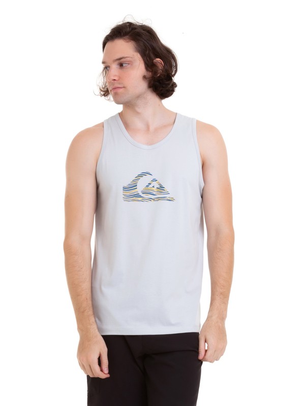 quiksilver, Camiseta Regata Stripe Logo Quiksilver, SILVER* (sil) 0 Camiseta Regata Stripe Logo Quiksilver Cinza BR61231988 Quiksilver