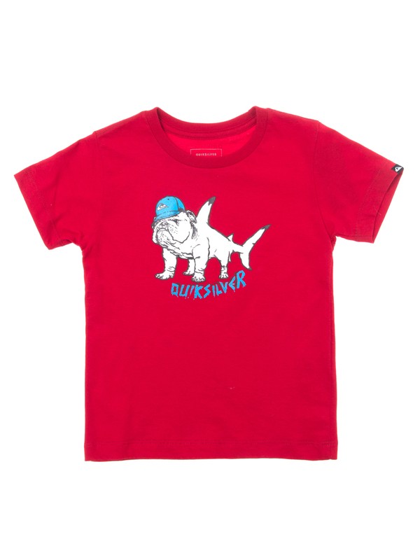 quiksilver, Camiseta Juvenil Manga Curta Estampa Frontal Quiksilver, CHILLI BLACK* (rrdo) 0 Camiseta Juvenil Manga Curta Estampa Frontal Quiksilver Vermelho BR68112054 Quiksilver