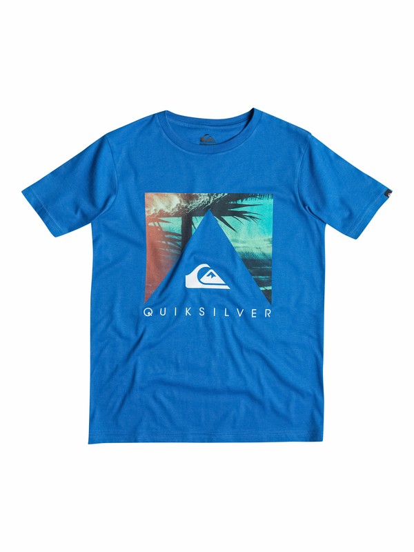 Classic Vanishing Point EQBZT03138 0 Classic Vanishing Point - T-shirt EQBZT03138 Quiksilver