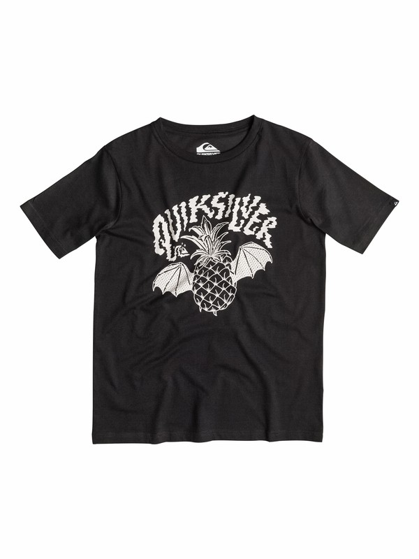 Classic Flying Pineapple EQBZT03149 0 Classic Flying Pineapple - T-shirt EQBZT03149 Quiksilver