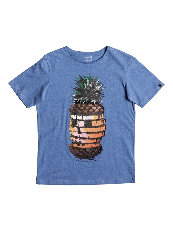 quiksilver, Classic Hot Pineapple - T Shirt pour Garçon 8-16 ans, TURKISH SEA HEATHER (bqsh) 0 Classic Hot Pineapple - T Shirt pour Garçon 8-16 ans EQBZT03565 Quiksilver