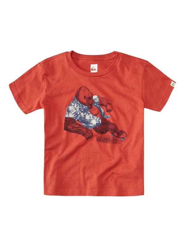 quiksilver, Ss Qs Tee Boy F20, BAKED APPLE (rnz0) 0 Ss Qs Tee Boy F20 EQKZT03001 Quiksilver