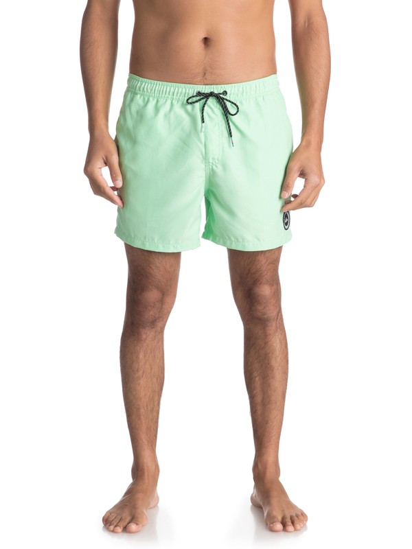 quiksilver, Плавательные шорты Everyday 15", GREEN ASH (gdw0) 0 Плавательные шорты Everyday 15" Зеленый EQYJV03318 Quiksilver