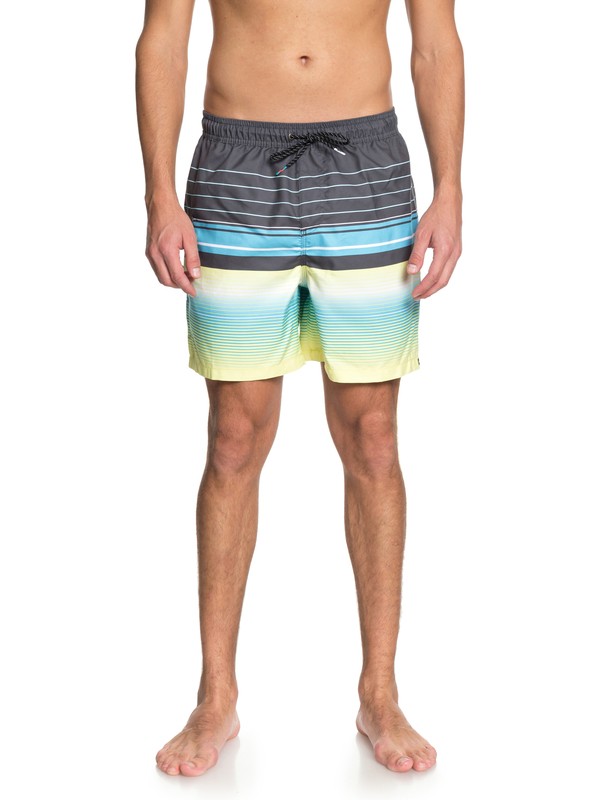 SWELL VISION VOLLEY 17 EQYJV03346 0 Swell Vision 17" Volleys EQYJV03346 Quiksilver