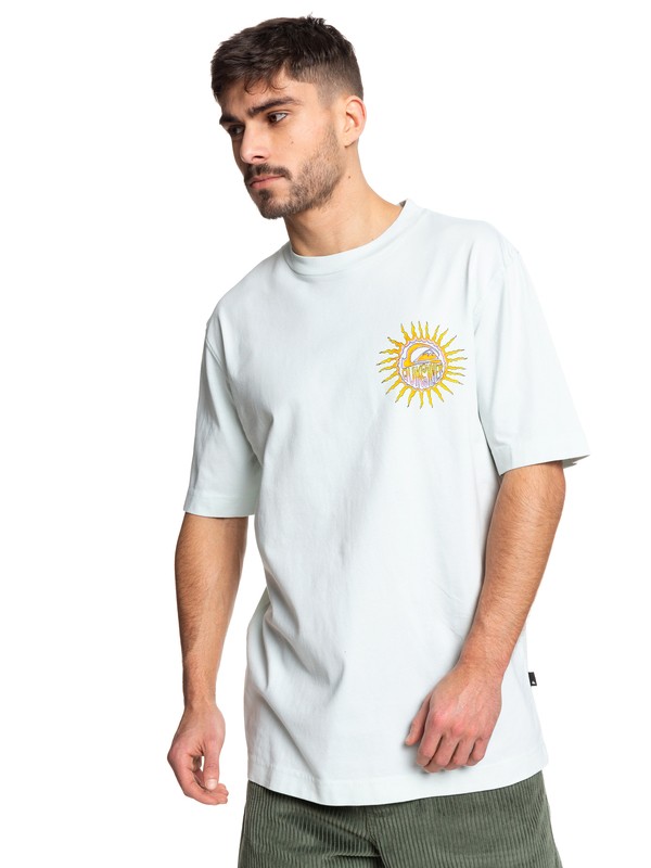 quiksilver, STM Skate Tee, SKY GRAY (bey0) 0 STM Skate Tee Blue EQYKT03956 Quiksilver
