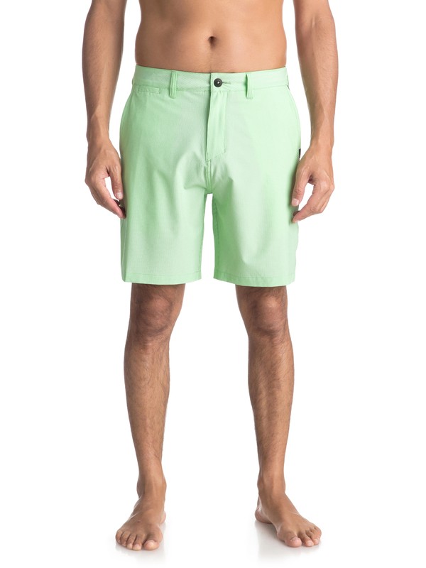 quiksilver, Union Pinstripe 19" - Amphibian Board Shorts for Men, GREEN ASH (gdw0) 0 Union Pinstripe 19" - Amphibian Board Shorts for Men Green EQYWS03490 Quiksilver