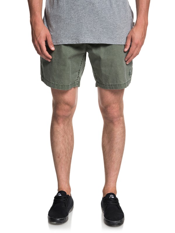 quiksilver, Miho Beach 17" Beachshorts, THYME (cqy0) 0 Miho Beach 17" Beachshorts Brown EQYWS03551 Quiksilver