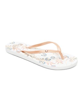 roxy, Bermuda Flip Flops, ROSE GOLD (rsg) Bermuda - Flip-Flops ARJL100664